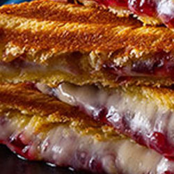 Caramelized onion brie cranberry panini small