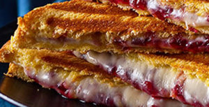 Caramelized onion brie cranberry panini small