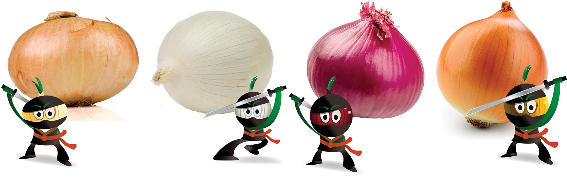 Nature's Ninjas with colors of onions on white background
