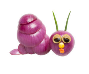 Snail made of red onions on white background.