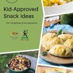 Kid Approved Snack Ideas